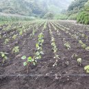 맷돌농장 이미지