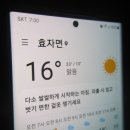 63일만에 시험주행과 치료후 짬 상황버섯 산행.108 이미지