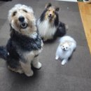 무지개쉼터민박 이미지