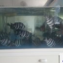 명진회센타 이미지