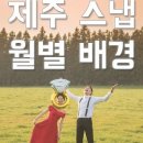제주X디테일