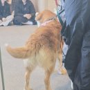 이마트24 화성양감정문점 | 서울 근교 가볼만한 곳 훈트｜유기견 입양 카페 솔직 리뷰