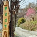 별빛산방 네이버블로그