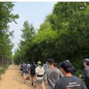 SATISFY SEOUL LDS RUN :: 새티스파이 서울 15K 러닝 이벤트 상세 후기, 데스툴 연희