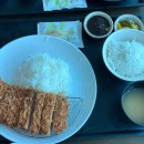 7190 | 인천공항2터미널 푸트코트 사보텐 돈까스, 우동 후기(비행기 뷰맛집)