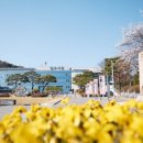 어린이 금융교실B 이미지