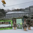 서울대공원식물원 이미지