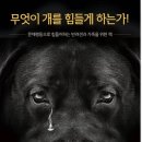 낭창한 강아지 이미지
