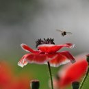 하남체육공원 이미지