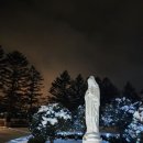 (주)설경 이미지
