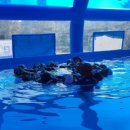 개곡초교 이미지