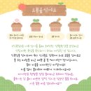 통큰아이어린이집 이미지