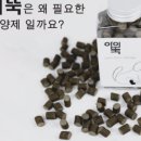 (A)아이