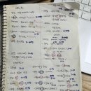 펫띠아모 | 코엑스 11월 베페 다녀온 후기! 진짜 필요한 꿀팁!