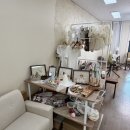 달꿈사진관 | 금천 꿈을꾸는달 사진관 - 백일사진 돌사진 내돈내산 추천