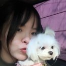 원주민수산
