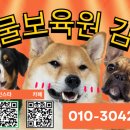 동물보육원 경기 수원 지부 이미지