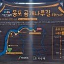 곰개나루 이미지