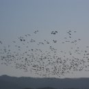 화진포둘레길(원당리) 이미지