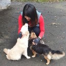 유동마을회관 이미지