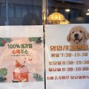 세라떼(SERATTE) 네이버블로그