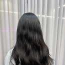 아르브헤어 arvv 이미지