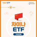 마차이나 이미지