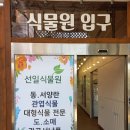 4 월3일 백운호수 식물원 카페 에서 이미지