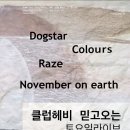 도그스타 이미지