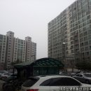 영진아파트 앞 2 이미지