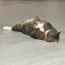 풍림위너스프라자 | 연말 결산