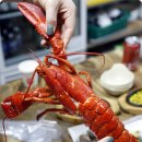 항구일식 이미지