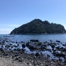 백주산보