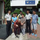 매송파출소 이미지