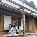 현대봉평막국수 이미지