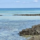 비자림빌리지2 이미지