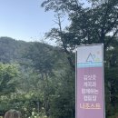 슈즈크린 | 영월 나조스트 캠핑장 후기｜계곡 앞 J10 사이트, 여름 물놀이 최고의 캠핑장