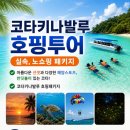 (주)아일랜드투어여행사