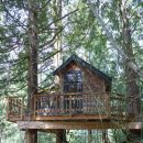 트리하우스 이미지