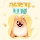 미미멍 | [공지] 대구동구애견미용 반려견 달목욕전문 미미멍 단골을 부르는 디테일