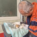 남악자동차공업사 이미지