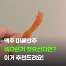 신선수산 새우포 솔직후기 품절될까 봐 바로 사 먹어봤어요