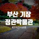 부산박물관 야외 | [부산 기장] 정관박물관야외전시공원 숨겨진 단풍 명소 추천🍁무료주차+수유실까지!