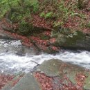 정골농장 이미지