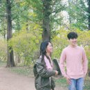 비디오 브라더스 스타데일리뉴스 