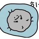 씨채널 네이버블로그