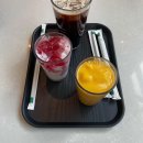 바이올독 푸드 이미지