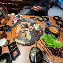 정릉81 | 새장과 하늘 새는 어떤 걸 택할까