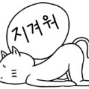정도그린 이미지