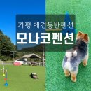 가평모나코애견펜션 이미지